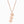 Dainty gold personalized pet paw nameplate necklace as a sweet birthday or memorial gift for pet lovers