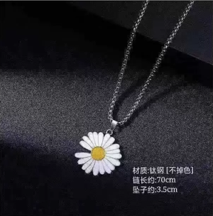 Titanium steel necklace, men's clavicle chain